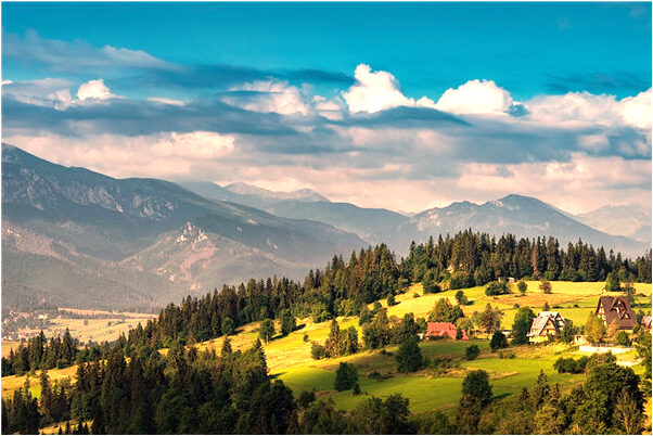 夢到兩輛車開到河裡預示什麼_周公解夢官網