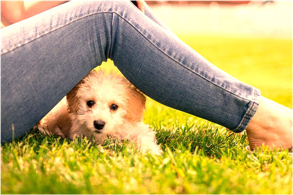 夢到了被小偷盯上是什麼預兆_周公解夢官網