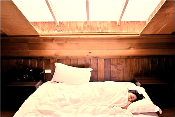 夢到了活牛背刮皮等待被宰是什麼意思_周公解夢官網