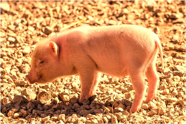 夢見情人在公司上班意味著什麼_周公解夢官網