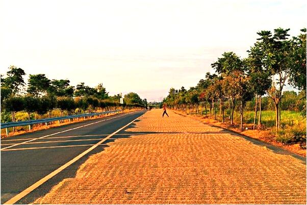 夢到買了一筐好橙子什麼預兆_周公解夢官網