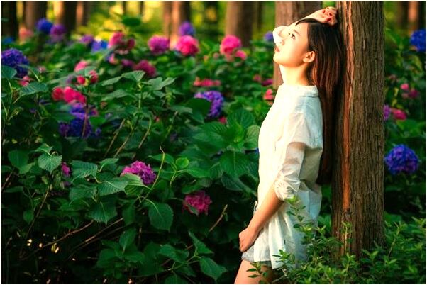 夢到夢一條大蛇向我撲來是什麼兆頭_周公解夢官網