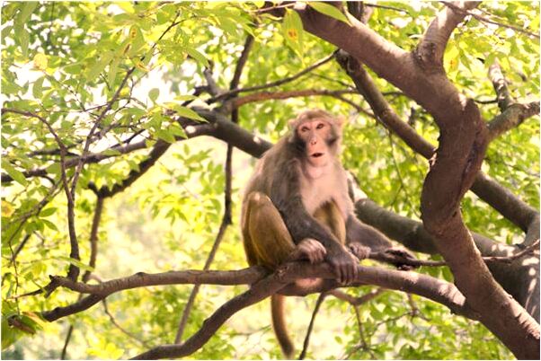 夢到我和一個男孩穿越預兆了什麼嗎_周公解夢官網