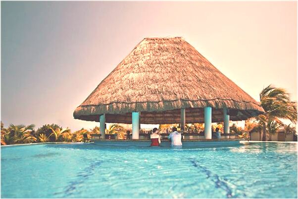 夢到了與猴子打架是什麼意思_周公解夢官網