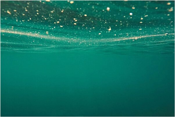 夢見錢包裝了零錢是好是壞_周公解夢官網