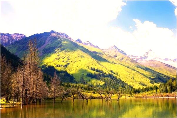 夢到了得孫子怎么樣_周公解夢官網