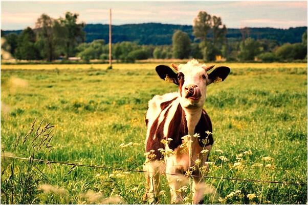 夢到了同事弄一身水是什麼意思_周公解夢官網