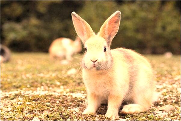 夢到了在海上鑿冰有什麼寓意嗎_周公解夢官網