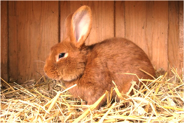 夢到與男朋友吵架分手有什麼寓意嗎_周公解夢官網