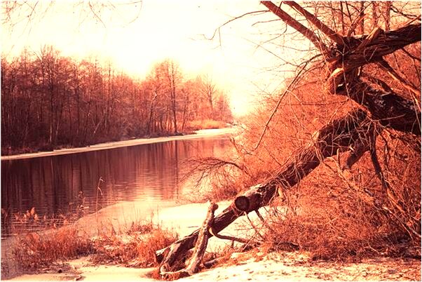 夢見女人出車禍意味著什麼_周公解夢官網