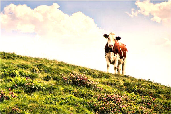 夢到奇怪的雕塑會是什麼預兆_周公解夢官網