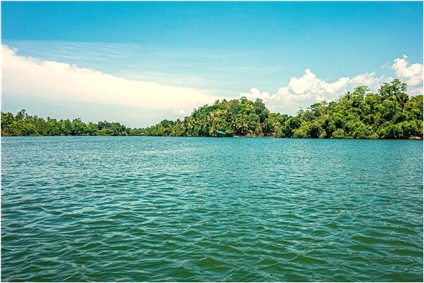 夢見臉上密密麻麻長滿坑什麼寓意_周公解夢官網