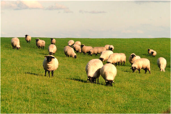 夢見在醫院拍鬼片有什麼預兆_周公解夢官網