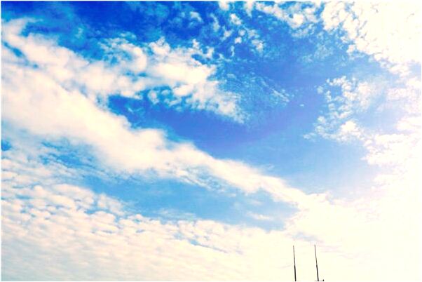 夢到妹妹有黑紅裙子是什麼兆頭_周公解夢官網