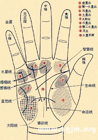 Palm rhyme formulas