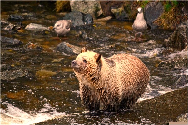 夢見地動山搖火焰是什麼徵兆_周公解夢官網
