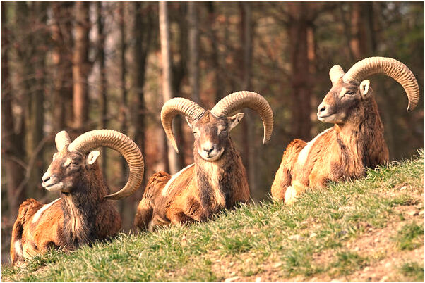 夢到了自己吃打胎沒打幹淨意味著什麼_周公解夢官網