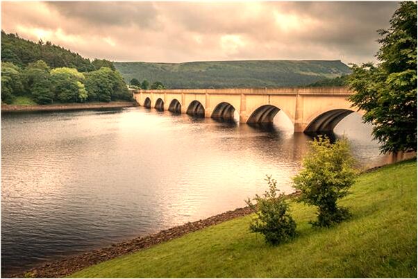 夢到了我的狼王殿下是吉兆嗎?_周公解夢官網