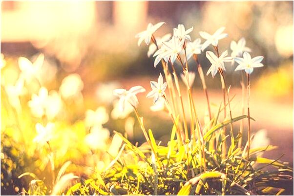 夢見找到遺失的東西預示著什麼_周公解夢官網