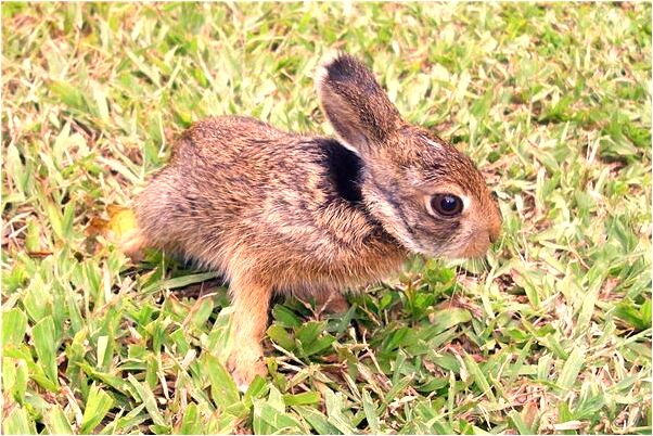 夢到了大海和大船是凶兆還是吉兆_周公解夢官網