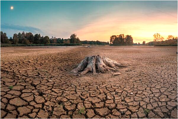 夢到手被砍是凶兆還是吉兆_周公解夢官網