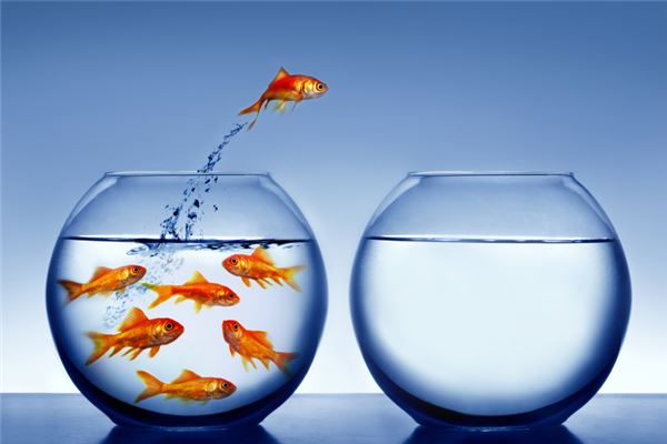 夢見金色的魚_周公解夢