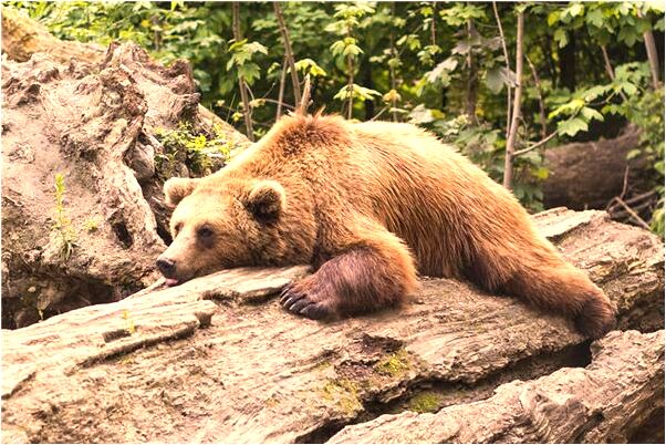 夢到了屋檐漏水是什麼預兆_周公解夢官網