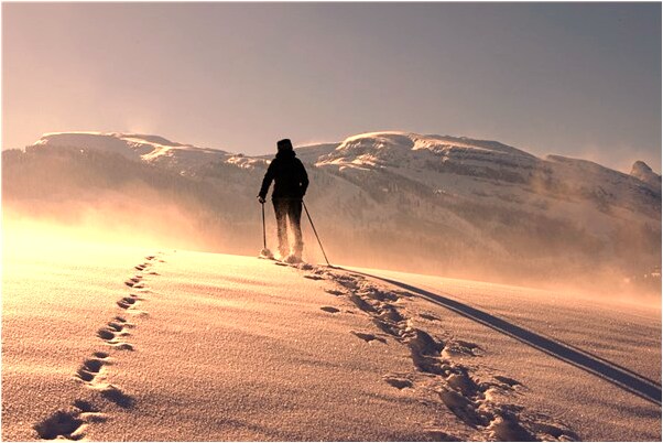 夢見活人變成鬼是好是壞_周公解夢官網