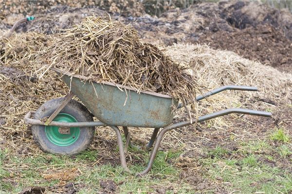夢到了除糞會是什麼預兆_周公解夢