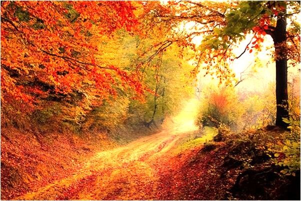 夢到了買的鞋子是被別人穿過的有什麼意思嗎_周公解夢官網