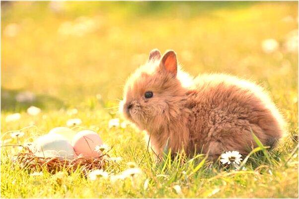 夢到有人追一直跑一直跑預兆了什麼嗎_周公解夢官網