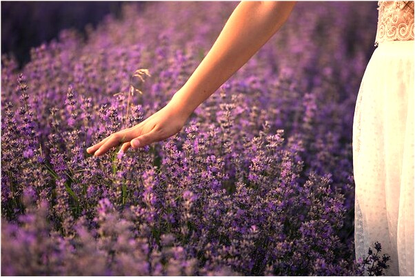 夢到夢廁所都是大便會是什麼預兆_周公解夢官網