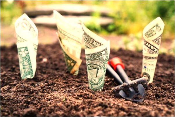 夢到玉皇大帝一閃是凶兆還是吉兆_周公解夢官網