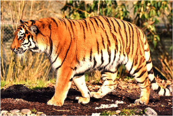 夢見洗手液代表著什麼？_周公解夢官網