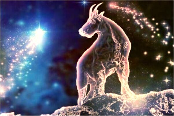 夢見自己養死沒有頭的烏龜怎么說_周公解夢官網