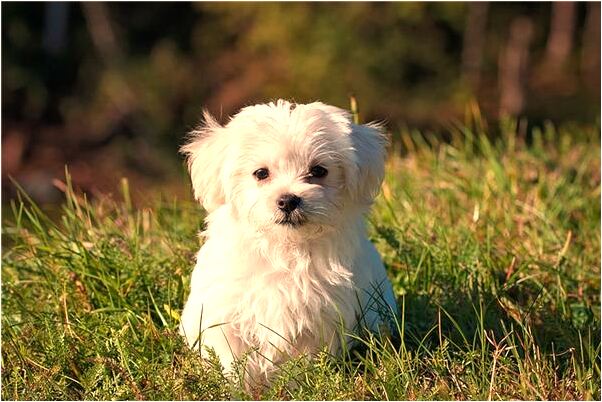 夢見自己被陷害怎么說_周公解夢官網