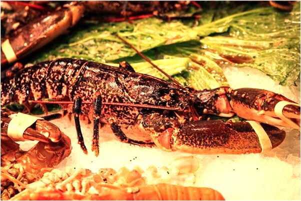 夢到了給死去的爸爸遷墳有什麼寓意嗎_周公解夢官網