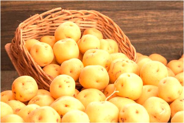 夢到了申請受洗是什麼預兆_周公解夢官網