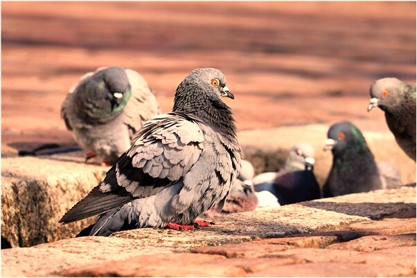 夢到了已婚的姐姐結婚什麼寓意_周公解夢官網