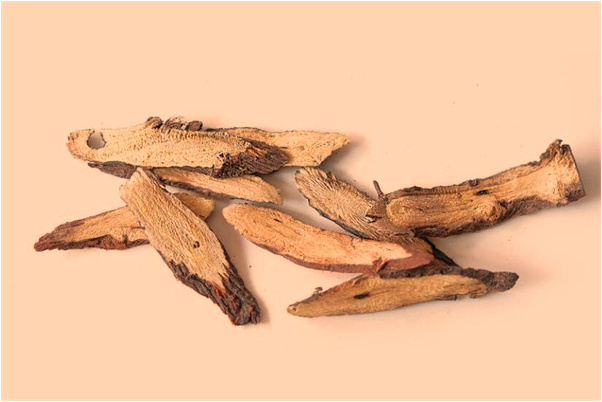 夢到了撿了兩張十元錢是啥意思_周公解夢官網