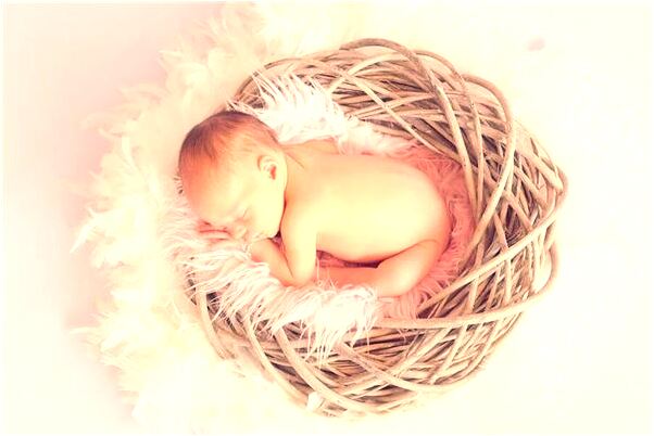 夢到了一片麥田是好事還是壞事_周公解夢官網