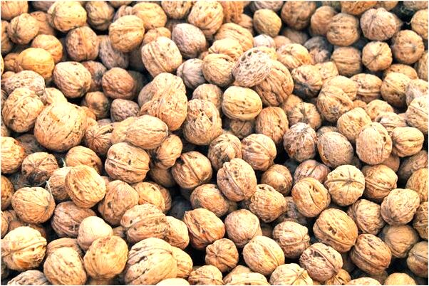 夢到了段賢梅有什麼意思嗎_周公解夢官網