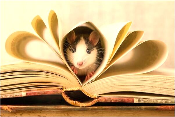 夢見絲綢被子是好是壞_周公解夢官網