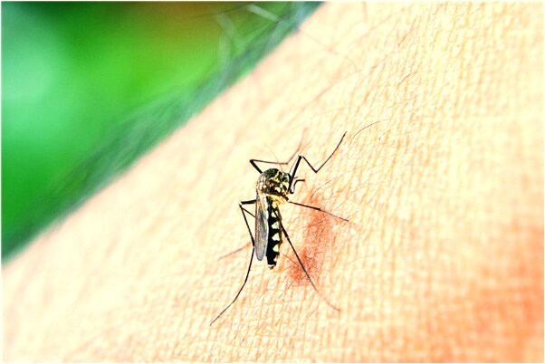 夢到了和偶像上床代表著什麼？_周公解夢官網