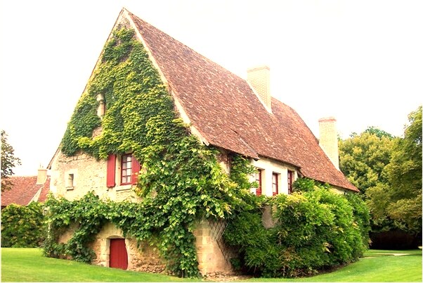 夢到落牙齒是咋回事_周公解夢官網