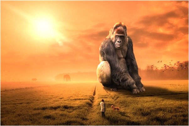 夢見穿黑色新皮衣是不是好的徵兆呢_周公解夢官網