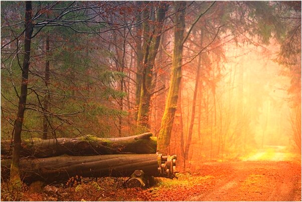 夢見手鍊珠子裂開代表著什麼_周公解夢官網