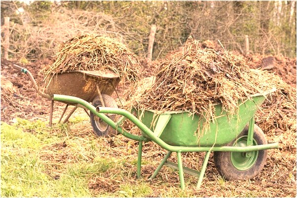 夢到了兩條蛇身預示什麼_周公解夢官網