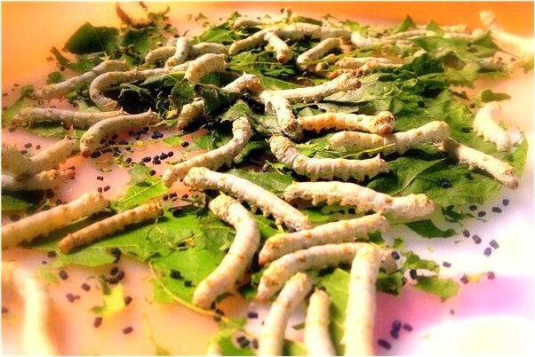 夢見肚子被人捅了兩刀流血是咋回事_周公解夢官網