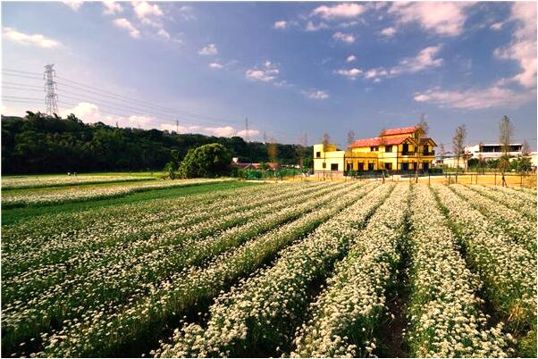 夢見揭開棺材是什麼兆頭_周公解夢官網